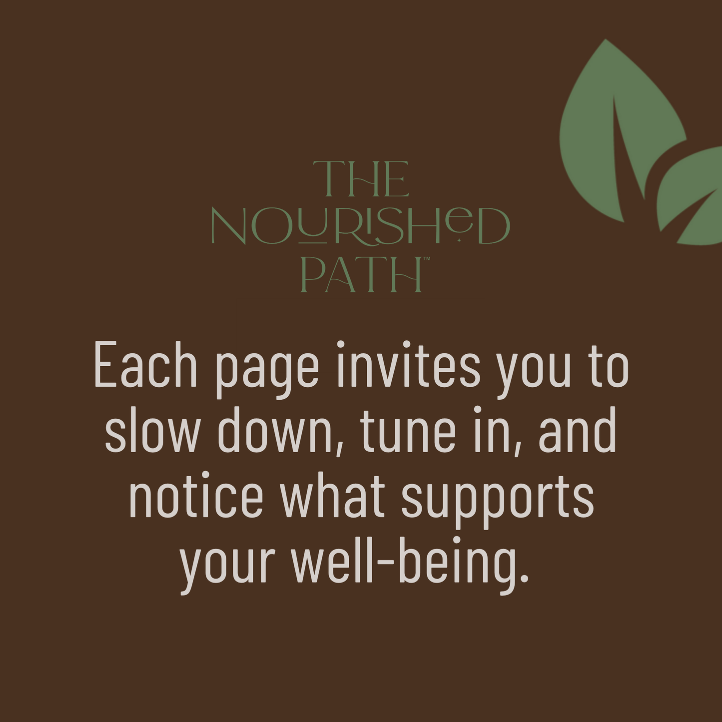 The Nourished Path Through Menopause